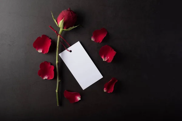 Rosa Roja Con Tarjeta Blanca — Foto de Stock