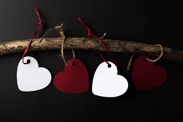 Heart Hanging Branches — Stock Photo, Image