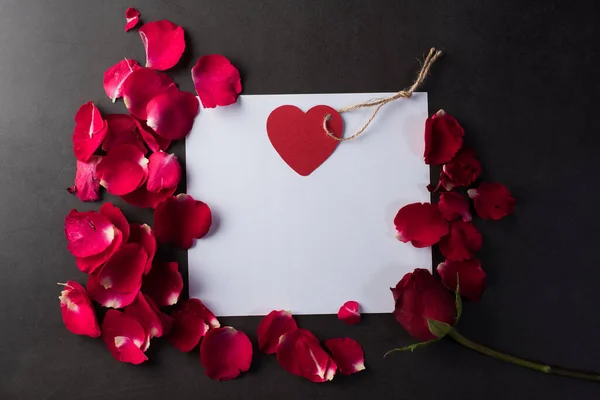 Rosa Roja Con Tarjeta Blanca — Foto de Stock