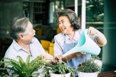 Yaşlı çiftler birlikte konuşuyor ve saksılara ağaç dikiyorlar..