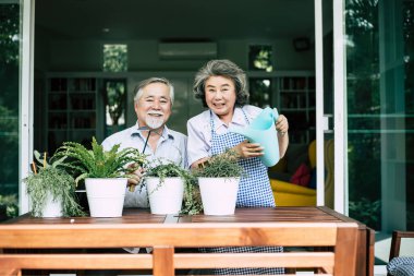 Yaşlı çiftler birlikte konuşuyor ve saksılara ağaç dikiyorlar..