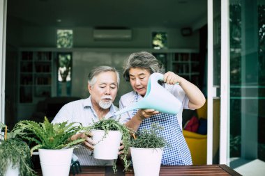 Yaşlı çiftler birlikte konuşuyor ve saksılara ağaç dikiyorlar..