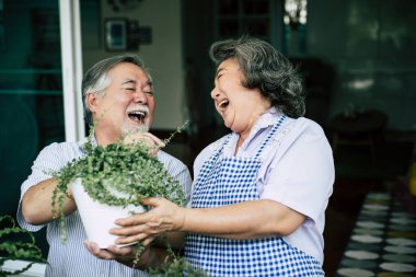 Yaşlı çiftler birlikte konuşuyor ve saksılara ağaç dikiyorlar..