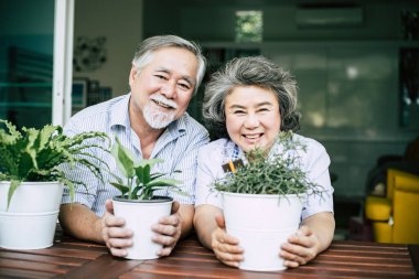 Yaşlı çiftler birlikte konuşuyor ve saksılara ağaç dikiyorlar..