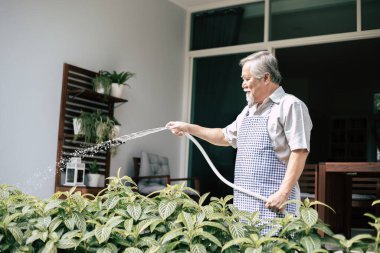 Yaşlı adam eve bir ağaç dikmiş.