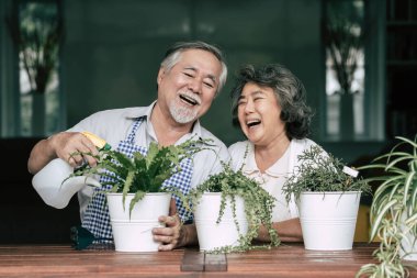 Yaşlı çiftler birlikte konuşuyor ve saksılara ağaç dikiyorlar..