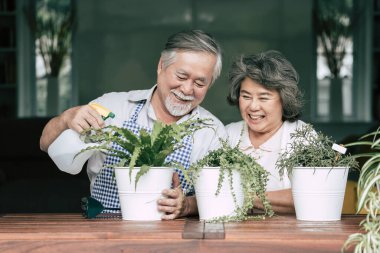 Yaşlı çiftler birlikte konuşuyor ve saksılara ağaç dikiyorlar..