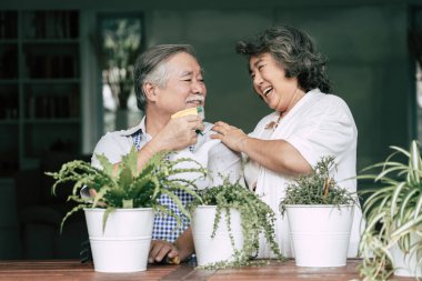 Yaşlı çiftler birlikte konuşuyor ve saksılara ağaç dikiyorlar..