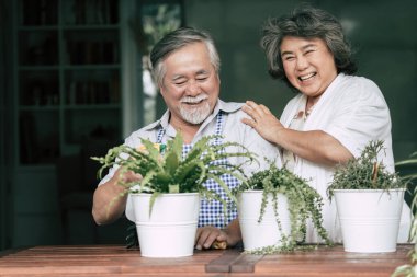 Yaşlı çiftler birlikte konuşuyor ve saksılara ağaç dikiyorlar..