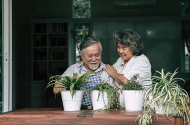 Yaşlı çiftler birlikte konuşuyor ve saksılara ağaç dikiyorlar..