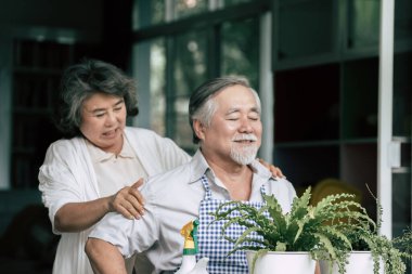 Yaşlı çiftler birlikte konuşuyor ve saksılara ağaç dikiyorlar..