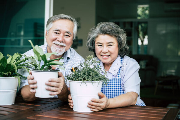 Elderly couples talking together and plant a trees in pots.