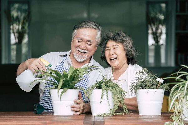 Elderly couples talking together and plant a trees in pots.