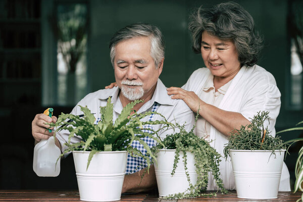 Elderly couples talking together and plant a trees in pots.