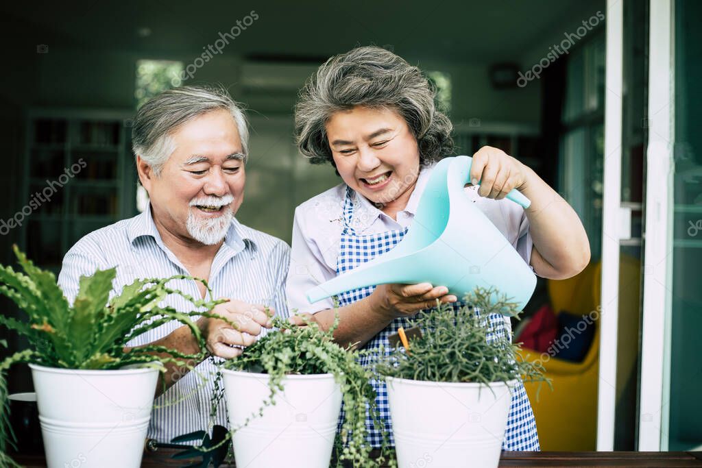 Elderly couples talking together and plant a trees in pots.