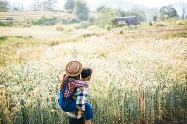 Arpa tarlası hasat mevsimi arayan çiftçiler