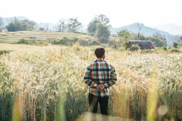 Handsome man farmer with barley field
