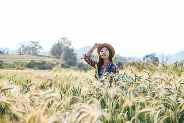 大麦の収穫期を持つ女性農家 — ストック写真