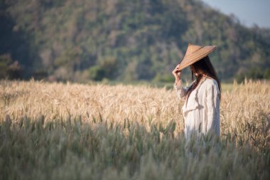 Vietnamlı kadın çiftçi buğday hasadı