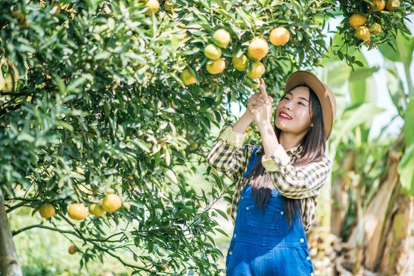 Vrouw Die Sinaasappelplantage Heeft — Stockfoto