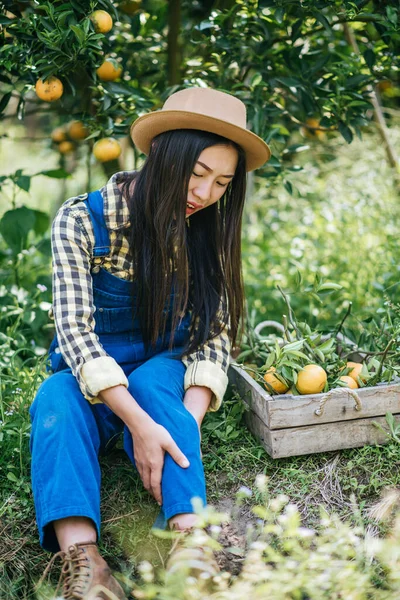 Femme Ayant Plantation Orange — Photo