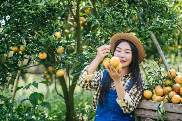 Kobieta Plantacją Pomarańczy — Zdjęcie stockowe