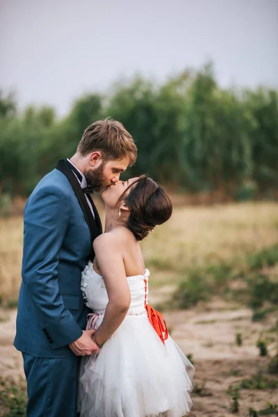 Braut Und Bräutigam Haben Zeit Für Romantik Und Glücklich Zusammen — Stockfoto