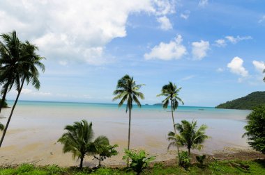 Tayland 'da yaz plajı, mavi okyanus, kum ve güneş ışığı