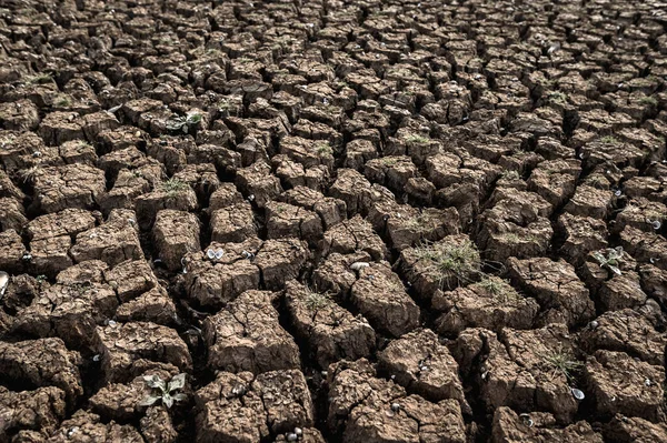 Terreno Árido Com Solo Seco Rachado Aquecimento Global — Fotografia de Stock