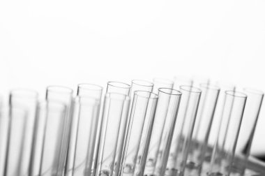 Bilim tüpleri rafa dizildi..