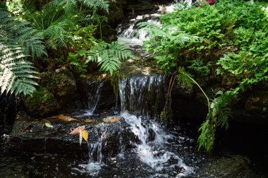 Dağlarda şelaleler ve küçük ağaçlar.