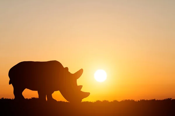 Rinoceronte Silueta Sobre Fondo Del Atardecer — Foto de Stock