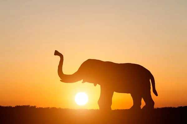 Silhouet Olifant Zonsondergang Achtergrond — Stockfoto