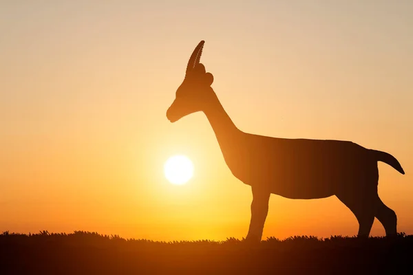 Silhouette Eines Hirsches Auf Dem Hintergrund Des Sonnenuntergangs — Stockfoto