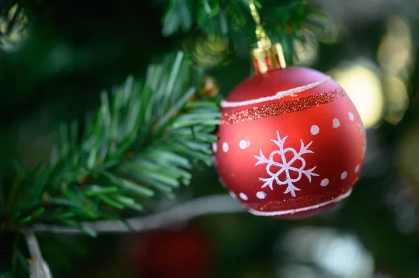 Primer Plano Bola Roja Colgando Del Árbol Navidad — Foto de Stock