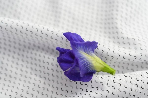 Blue Butterfly Pea Flowers White Fabric — Stock Photo, Image