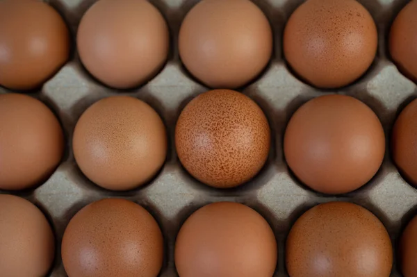 Chicken Eggs Placed Egg Tray Close — Stock Photo, Image