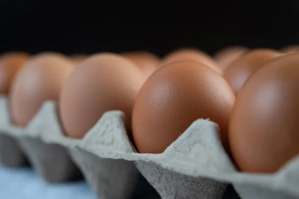 Chicken Eggs Placed Egg Tray Close — Stock Photo, Image