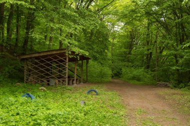 Yağmurlu bir günde yoğun bir ormanda hafif ahşap bir yapı.