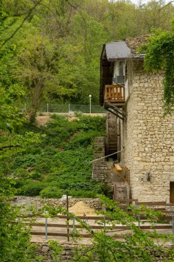 Güneşli bir günde ormanda eski çalışmayan su değirmeni.