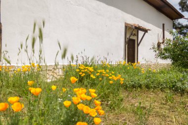 Çiçekler, çalılar ve ağaç ile geleneksel köy chirch görünümü