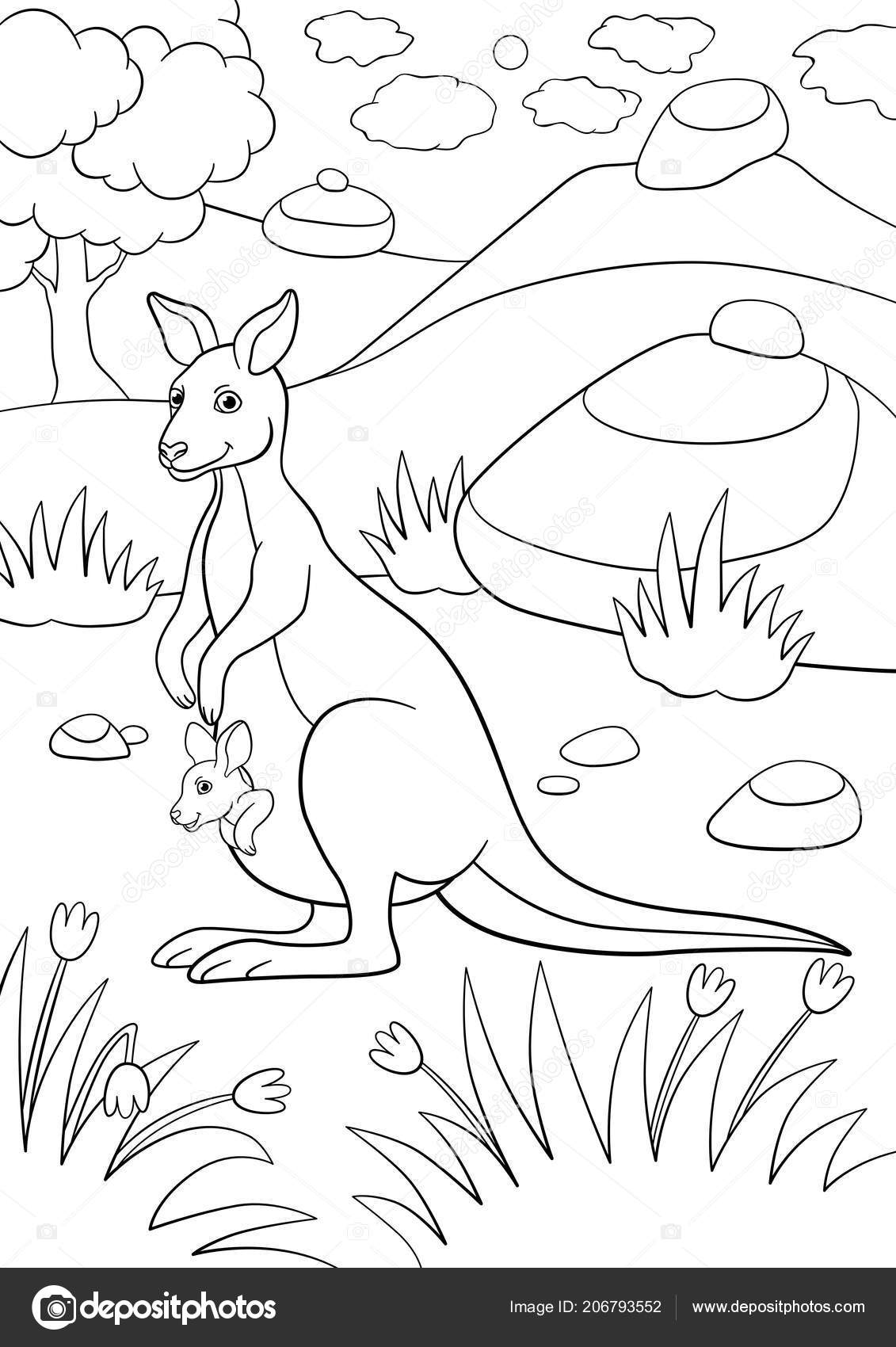 Coloring Pages Mother Kangaroo Her Little Cute Baby Stock Vector Image By C Ya Mayka 206793552