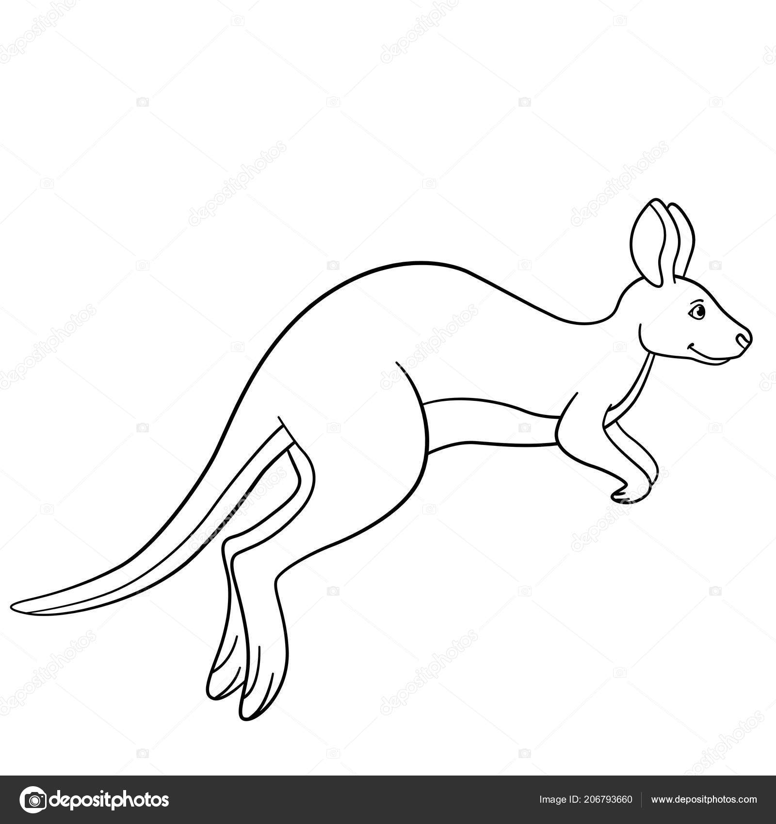 양산동물원 #왈라비 왈라비 특집👍 귀엽고 통통하고 말잘듣는 우리 왈라비 사과도 잘먹고 바나나도 잘먹고 치커리도 잘먹는 너무 건강한  왈라비🥰 . 🔊영업시간 평일 - 10:30~19:00 주말, 공휴일 - 10:30~20:00 *단체환영! 평일 오전  가능(문의주세요) 🔊매주, image size:1600x1700