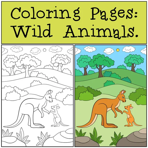 Dibujos Para Colorear Animales Salvajes Madre Canguro Con Bebé — Vector de stock