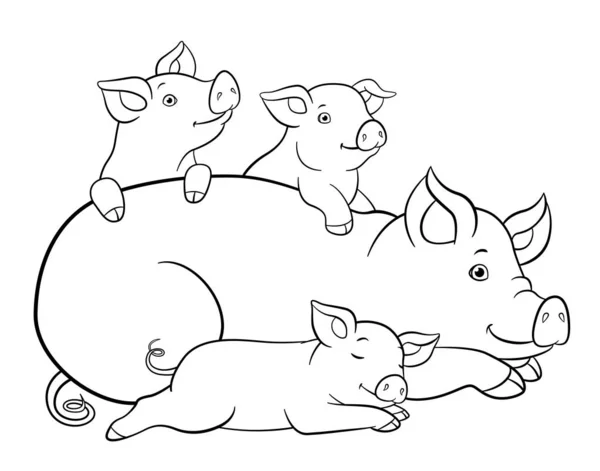 Coloring pages. Mother pig lays with her three little cute pigle — Stock Vector