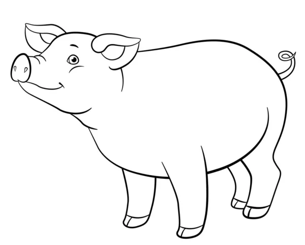 Coloring page. Cute pig stands and smiles. — Stock Vector