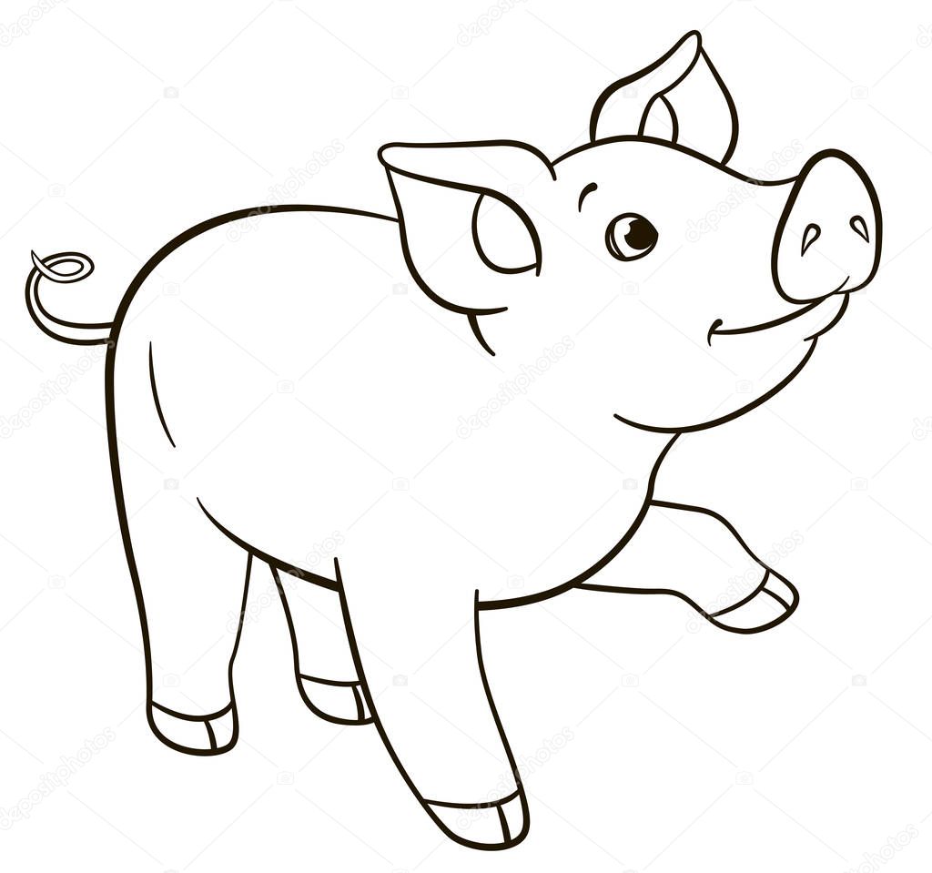 Coloring pages. Little cute pig stands and smiles.