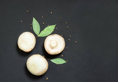 yuvarlak ve büyük champignon mantar siyah bir arka plan w yalan