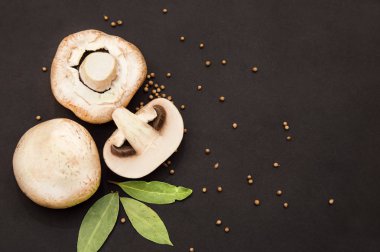 yuvarlak ve büyük champignon mantar siyah bir arka plan w yalan