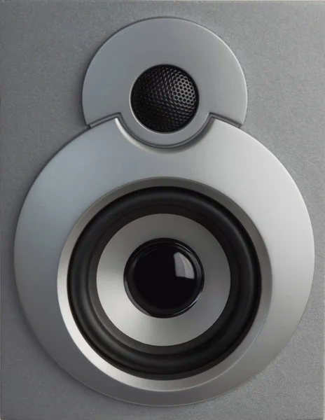 High quality loudspeakers.Hi fi sound system in shop for sound r